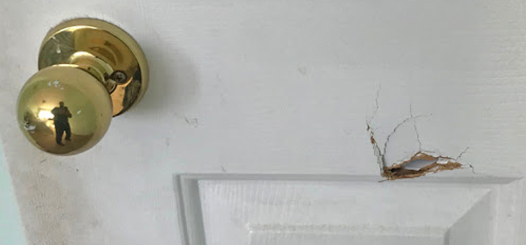 interior door hole repair Ceres